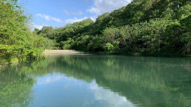 ２０２２年５月１４日 小川原湖付近