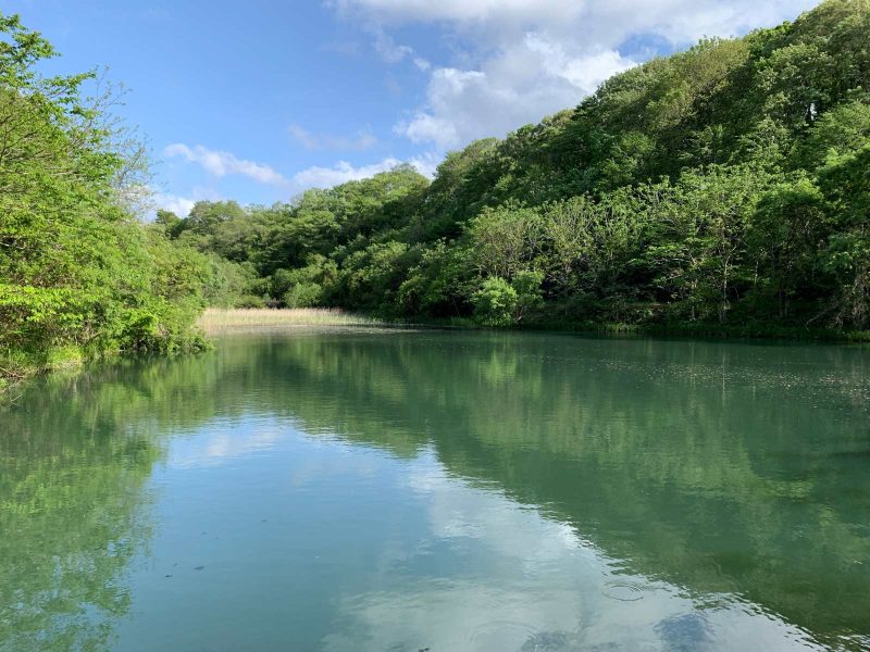 ２０２２年５月１４日 小川原湖付近