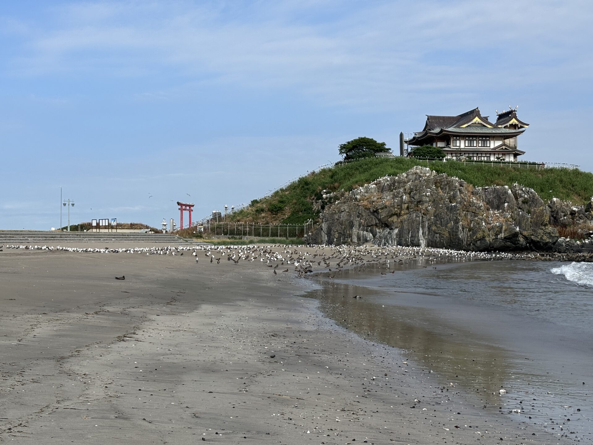 散歩中の photo